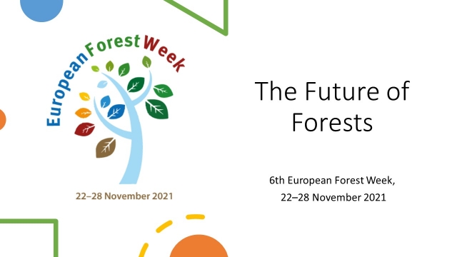 OFIDIA2 at the European Forest Week 2021